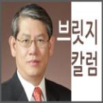 [브릿지 칼럼] 회색 코뿔소가 어른거리는 한국 경제 사진 파일