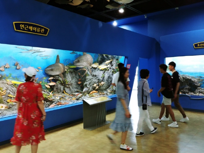 20180608143801.jpg