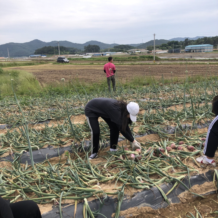 20190603180358.jpg