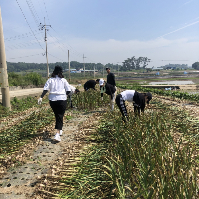 20190603180413.jpg